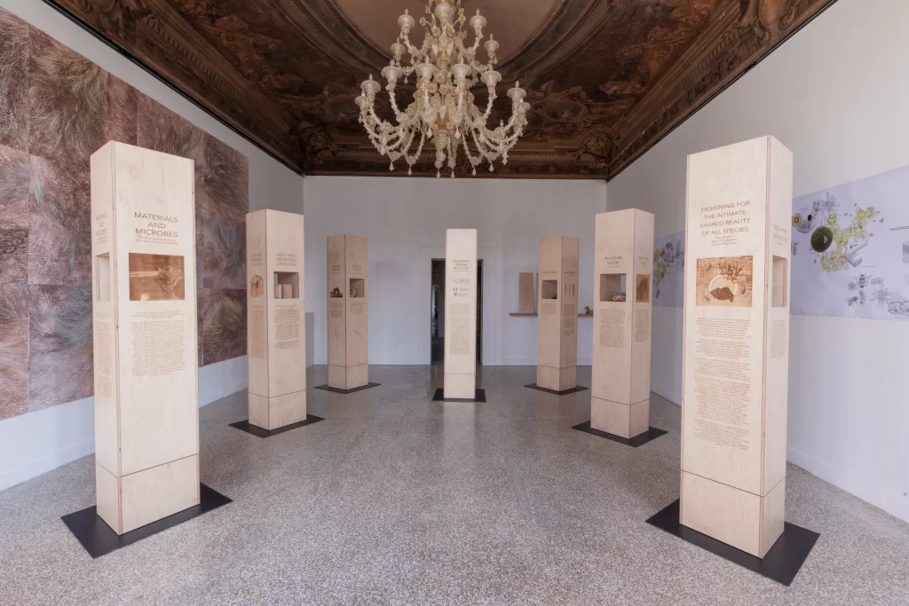 Tempo, spazio ed esistenza a palazzo bembo – european cultural centre